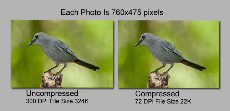 compressed_vs-uncompressed2 | thesoar.net